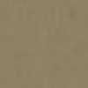 Beige Beige