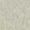 Beige Beige