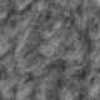 Gray Gray