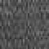 Gray Gray