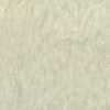 Beige Beige