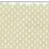 Beige Beige