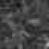 Charcoal Gray Charcoal Gray