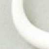 White White