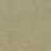 Safari Beige