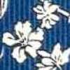Blue X Ivory Blue X Ivory