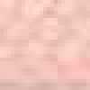 Flamingo Pink Flamingo Pink
