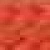 Carrot Orange Carrot Orange