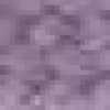 Lavender Lavender
