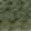 Moss Green Moss Green