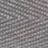 Light Gray Light Gray