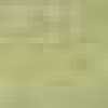 Asparagus Green