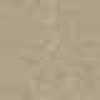 Medium Beige