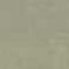 Beige Beige