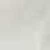 White White