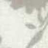 Monotone Monotone