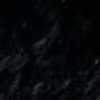 Black Black