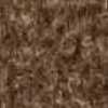 Mocha Brown