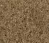 Brown Brown