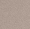 Beige Beige