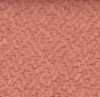 Coral Pink Coral Pink