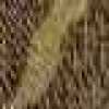 Light Gold/Dark Brown