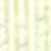 Yellow Stripe Yellow Stripe