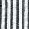 Black Stripe Black Stripe
