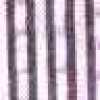 Purple Stripe Purple Stripe