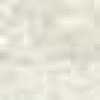 White White
