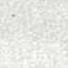 Gray Gray