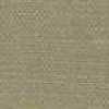 Light Brown Light Brown