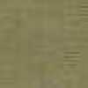Light Khaki Light Khaki