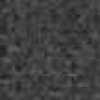 Black Black