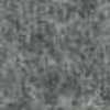 Gray Gray