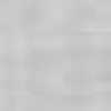 Silver Gray Silver Gray