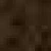 Raw Umber