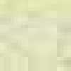 Cream Yellow