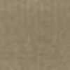 Beige Beige