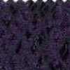 Purple Purple