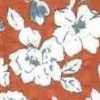 Orange Orange