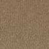 Light Brown Light Brown