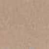 Salmon Beige Salmon Beige