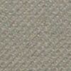 Beige Beige