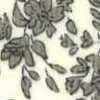 Ivory × Beige Ivory × Beige