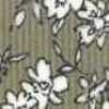Beige Beige