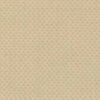 Beige Beige
