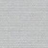 Light Gray Light Gray