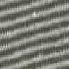 Gray Gray