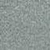 Gray Gray
